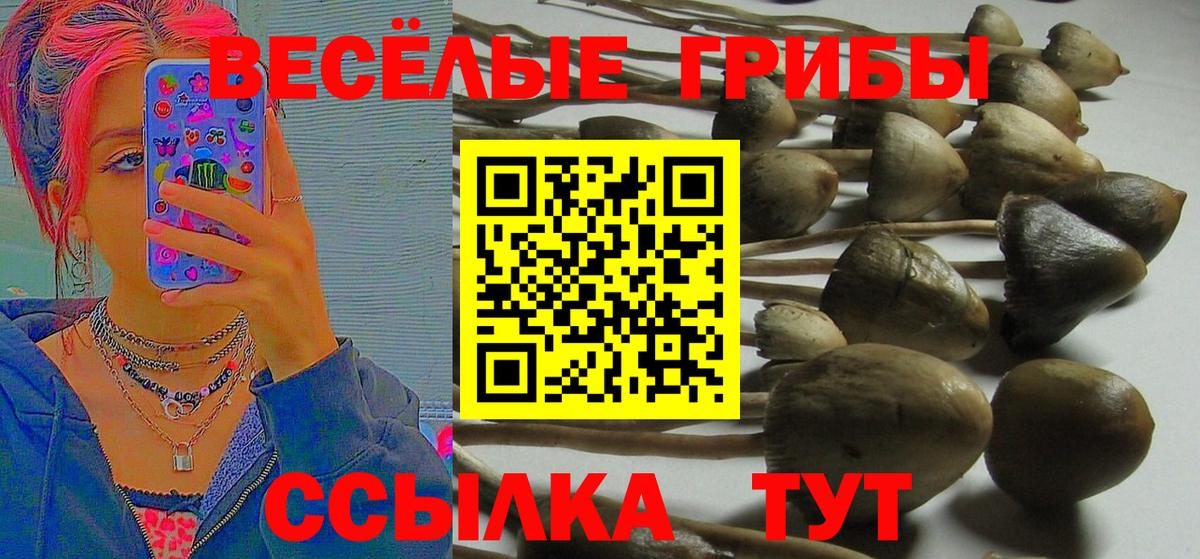 Галлюциногенные грибы мухоморы  Псилоцибиновые грибы прущие грибы  Вход с VPN  Тында 